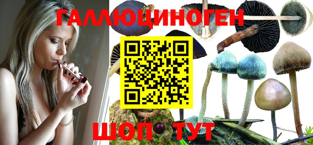 Галлюциногенные грибы мухоморы  Галлюциногенные грибы мицелий  Вход с VPN  Новотроицк 